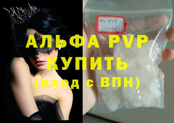 гашик Алексин