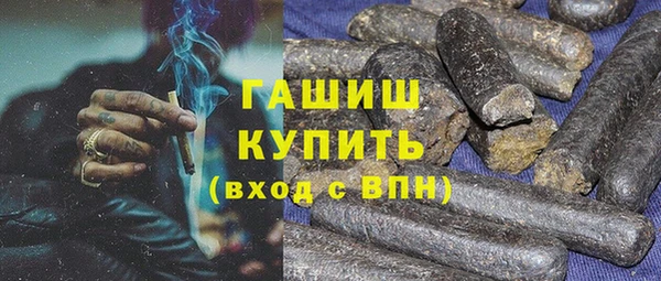 гашик Алексин