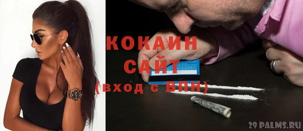 гашик Алексин