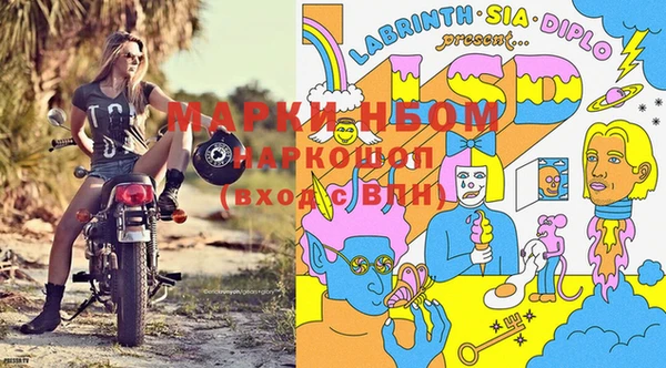 гашик Алексин