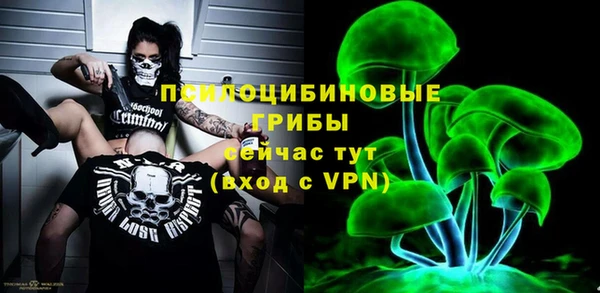 гашик Алексин