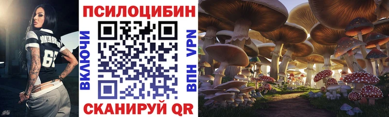 где купить наркоту  Бахчисарай  MEGA как войти  Галлюциногенные грибы Cubensis 