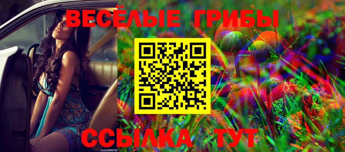 Псилоцибиновые грибы прущие грибы  Вход с VPN  Бахчисарай 